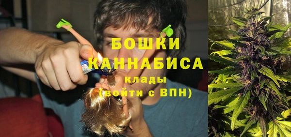 гидра Михайловск