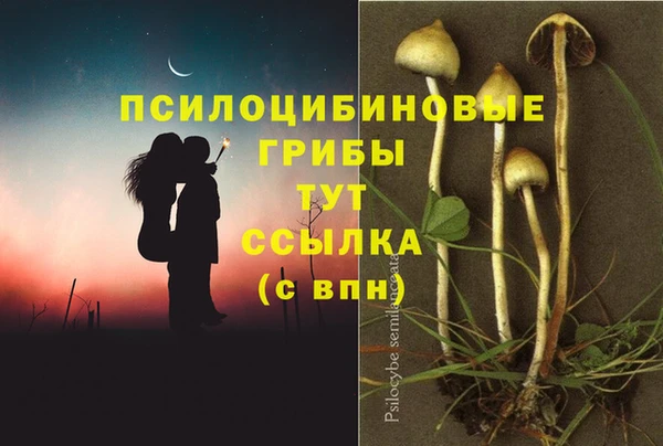 MDMA Михайловка